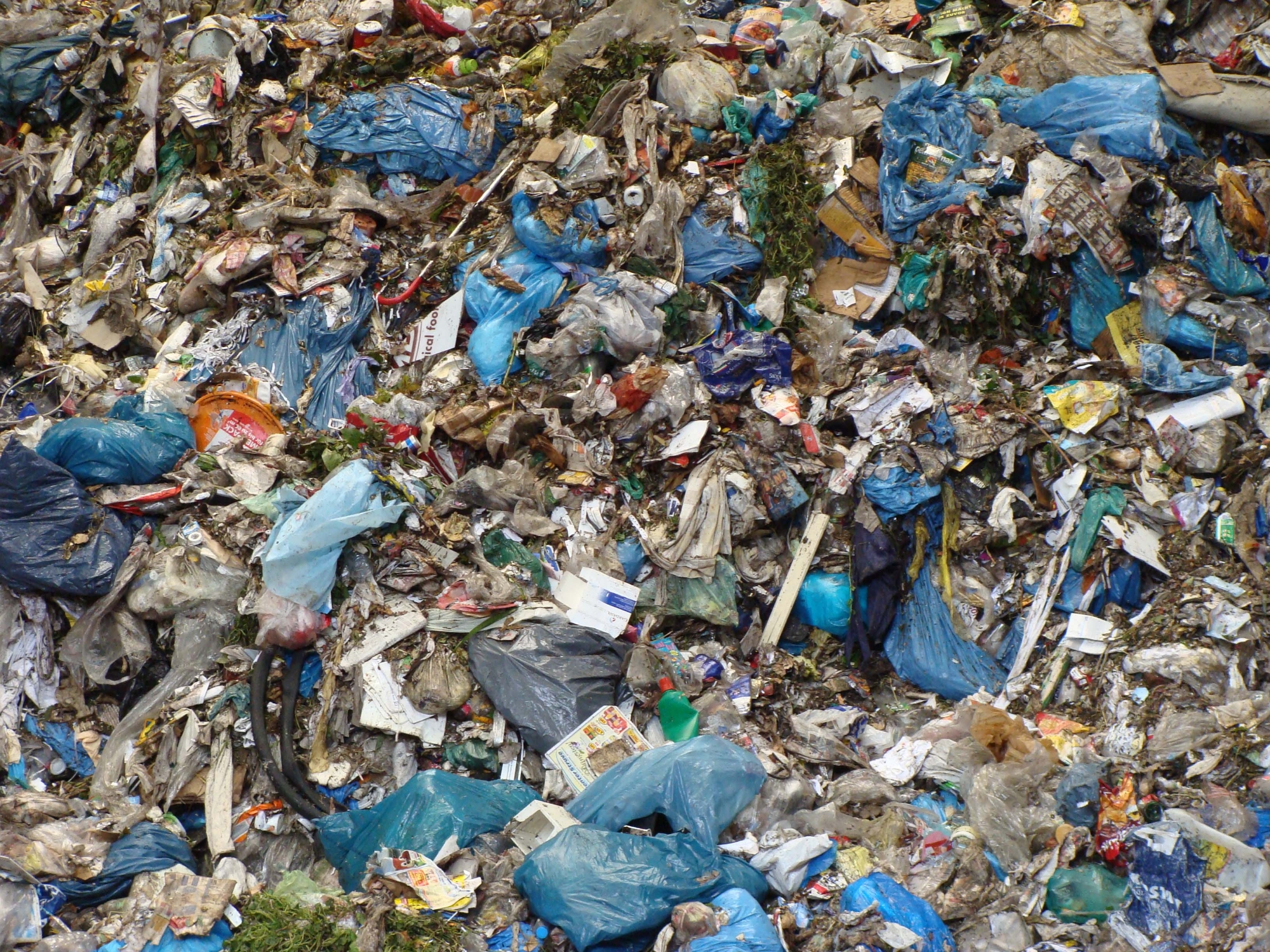 Chair of Waste Management and Emissions